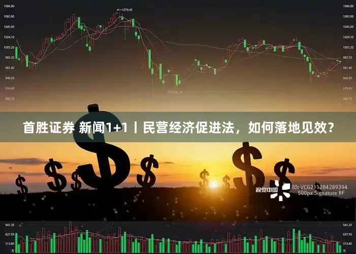 首胜证券 新闻1+1丨民营经济促进法，如何落地见效？