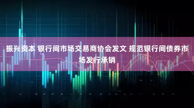 振兴资本 银行间市场交易商协会发文 规范银行间债券市场发行承销