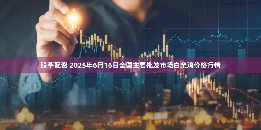 股莘配资 2025年6月16日全国主要批发市场白条鸡价格行情