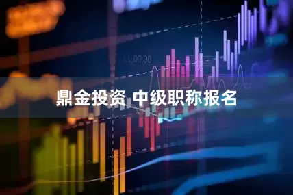 鼎金投资 中级职称报名