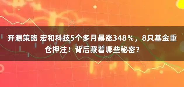 开源策略 宏和科技5个多月暴涨348％，8只基金重仓押注！背后藏着哪些秘密？