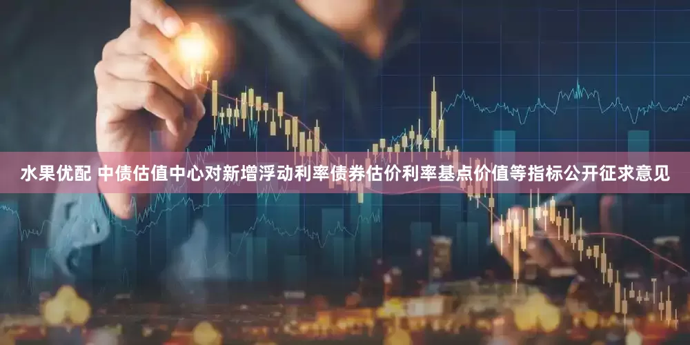 水果优配 中债估值中心对新增浮动利率债券估价利率基点价值等指标公开征求意见